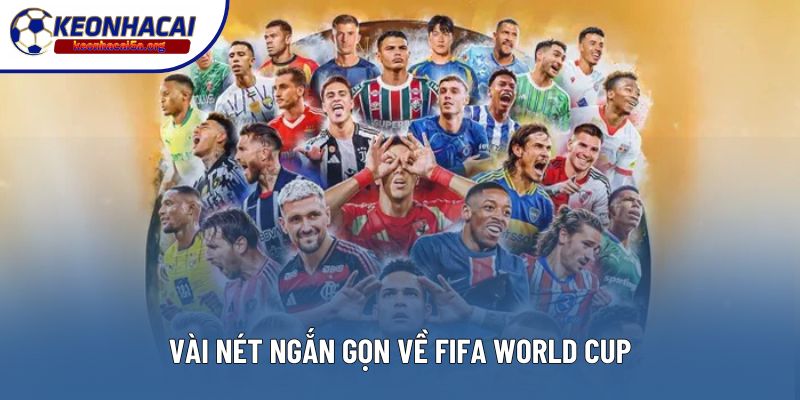 Vài nét ngắn gọn về FIFA World Cup