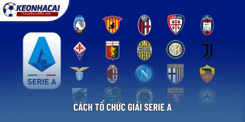 Cách tổ chức giải Serie A